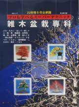 園主監修の一冊「雑木盆栽専科」