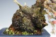 画像4: 野梅（小品・樹高8ｃｍ） (4)