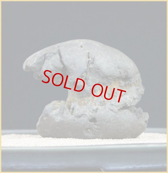 画像4: 加茂川石（滝石・雨宿り石） (4)