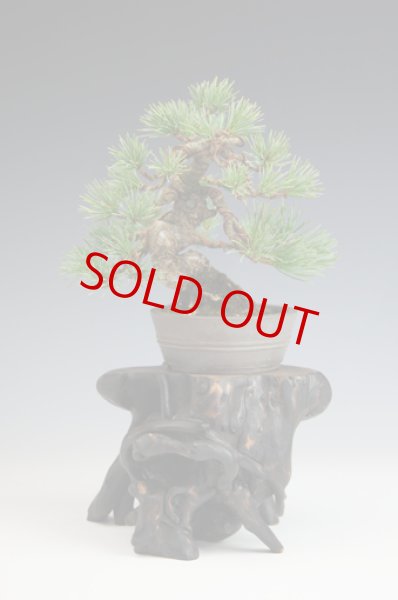 画像3: 天然卓 (3)